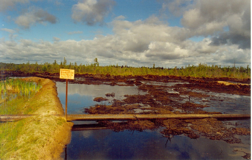 31-Г-06 «Yukos» Oil Company, OAO «Yuganskneftega», May 2001 The accidental oil spill caused with the pipeline’s break. Керру square of contamination is more then 3.5 he Before the treatment