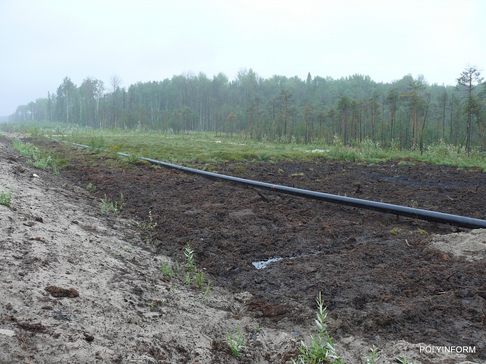 31-Г-10 ООО «Gazpromneft-Hantos», May 2008 Recultivation of oil contaminated soil